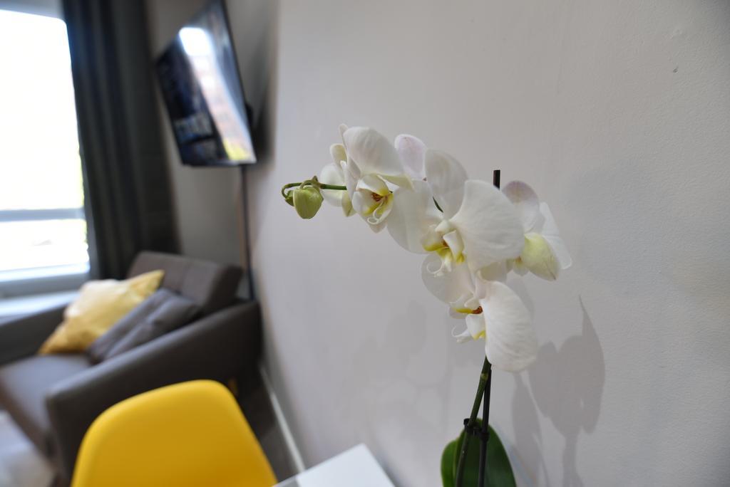Meadowbank House Luxury Apartment EDI Exterior foto